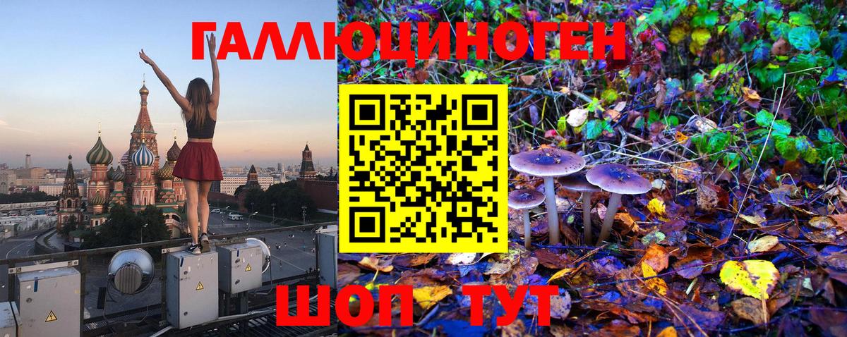Галлюциногенные грибы Cubensis Электрогорск