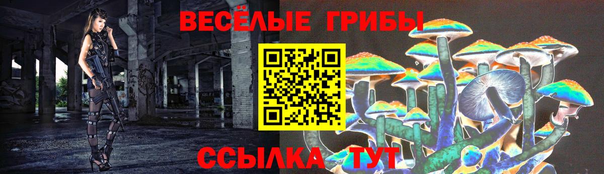 Электрогорск  Псилоцибиновые грибы ЛСД  Вход с VPN 